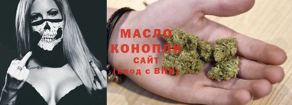 дмт Переславль-Залесский