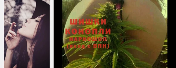 гидропоника Пересвет