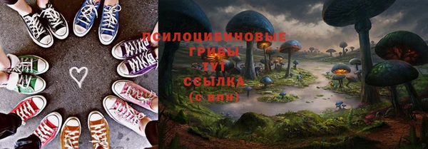 гидропоника Пересвет