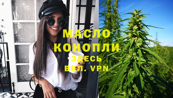 дмт Переславль-Залесский