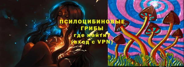 дмт Переславль-Залесский