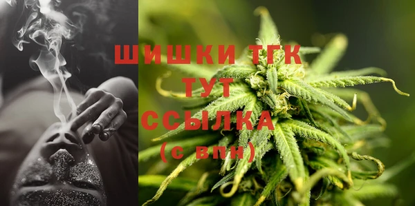 гидропоника Пересвет