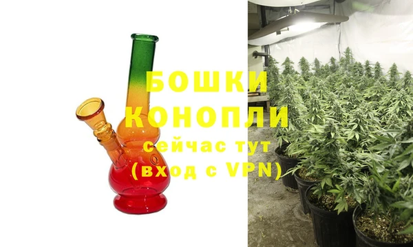 дмт Переславль-Залесский