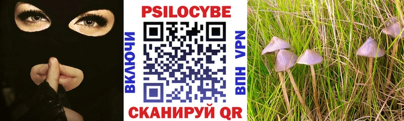 Псилоцибиновые грибы прущие грибы  Купить закладки  Суоярви 